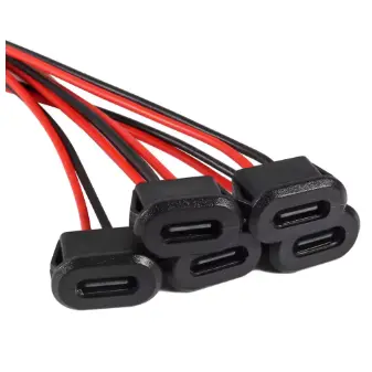 Conector de enchufe hembra tipo C de 2 pines's photo #1